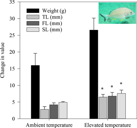 Climate change does not affect the seafood quality of a commonly targeted fish