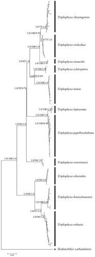 Details are in the caption following the image Details are in the caption following the image