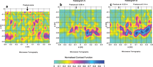 Details are in the caption following the image Details are in the caption following the image