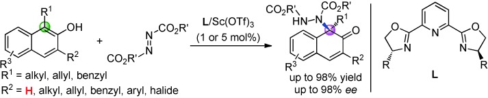 Direct Asymmetric Dearomatization of 2-Naphthols by Scandium-Catalyzed Electrophilic Amination