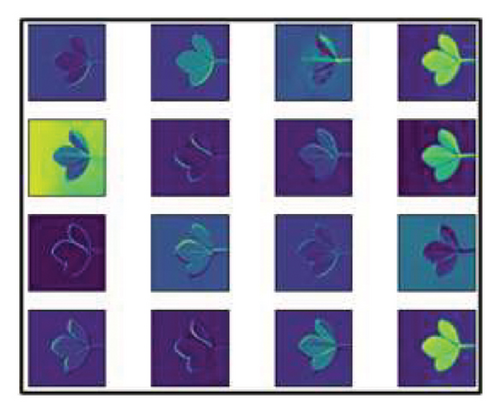 Details are in the caption following the image Details are in the caption following the image