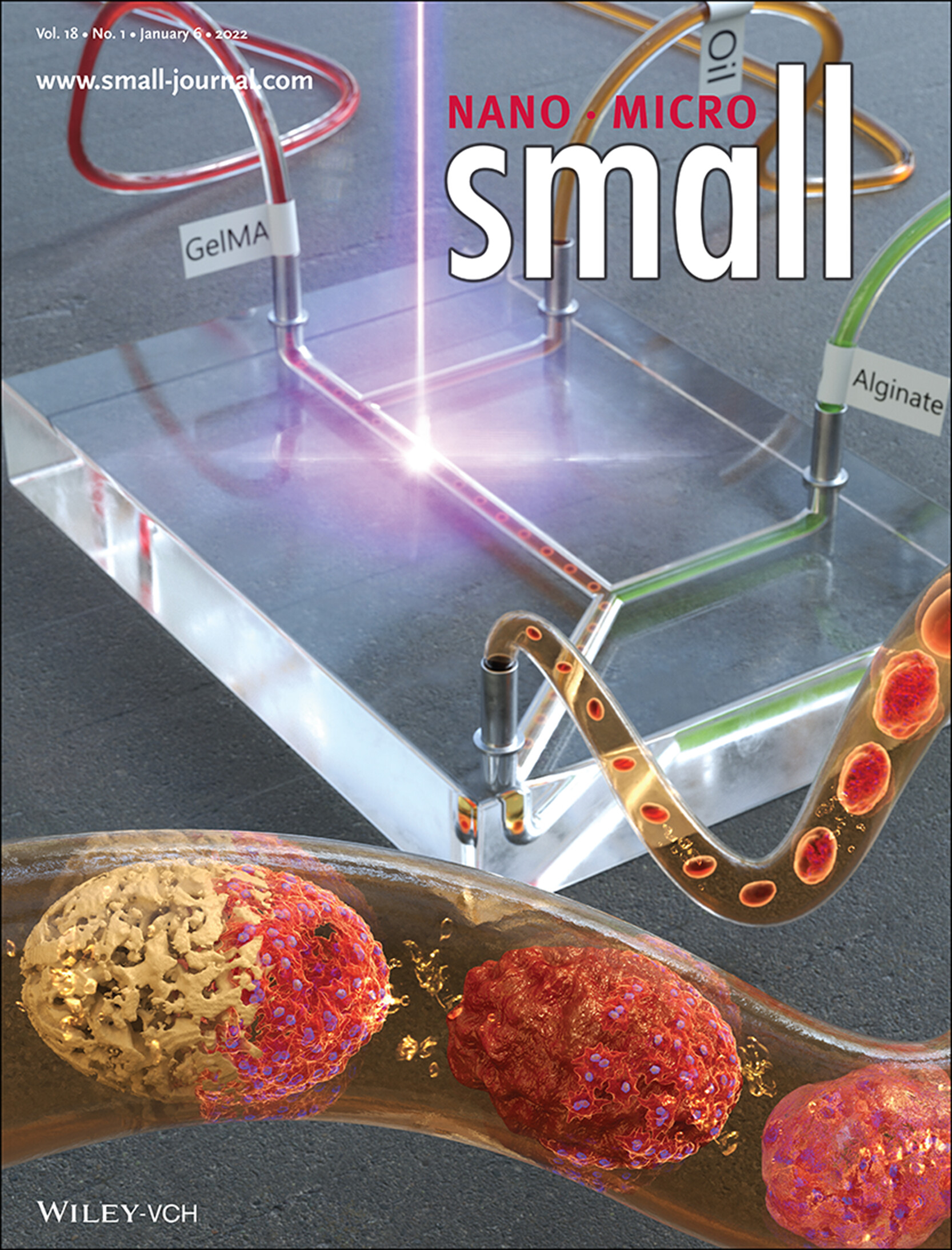 A Microfluidic Device to Fabricate One-Step Cell Bead-Laden Hydrogel Struts for Tissue Engineering (Small 1/2022) Volume 18 Issue 1, 2022
