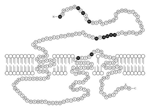 Details are in the caption following the image