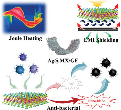 Multi-Functional and Flexible Nano-Silver@MXene Heterostructure-Decorated Graphite Felt for Wearable Thermal Therapy