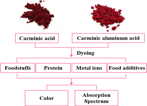 Effects of different food ingredients on the color and absorption spectrum of carminic acid and carminic aluminum lake