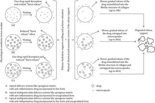 Details are in the caption following the image Details are in the caption following the image