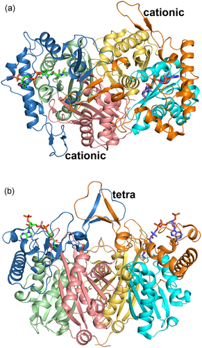 Details are in the caption following the image Details are in the caption following the image