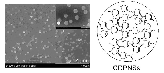 Preparation of Tris(2-aminoethyl)amine-Cross-Linked Cyclodextrin-Based Porous Nanospheres and Their Application as Drug Delivery Systems