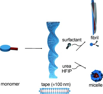 Programmed Morphological Transitions of Multisegment Assemblies by Molecular Chaperone Analogues