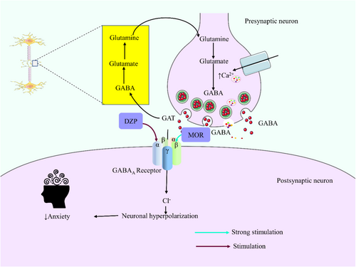 Details are in the caption following the image Details are in the caption following the image