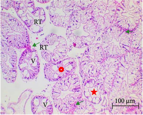 Details are in the caption following the image