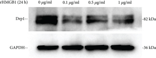 Details are in the caption following the image