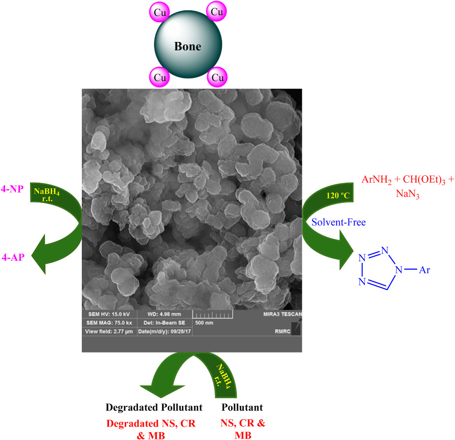 One-pot green synthesis of Cu/bone nanocomposite and its catalytic activity in the synthesis of 1-substituted 1H-1,2,3,4-tetrazoles and reduction of hazardous pollutants