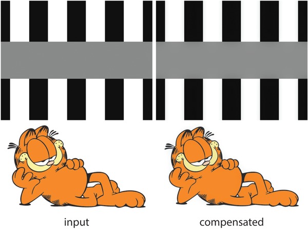 Reducing Lateral Visual Biases in Displays
