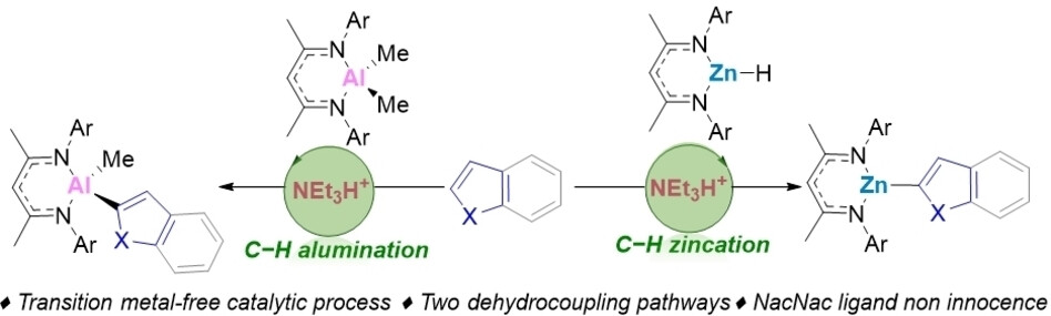 Transition Metal-Free Catalytic C−H Zincation and Alumination