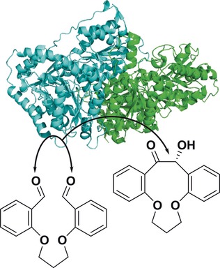 Intramolecular Benzoin Reaction Catalyzed by Benzaldehyde Lyase from Pseudomonas Fluorescens Biovar I