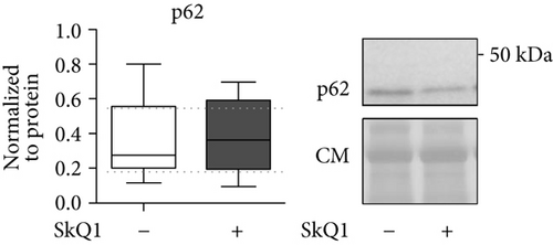 Details are in the caption following the image
