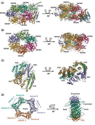 Details are in the caption following the image Details are in the caption following the image