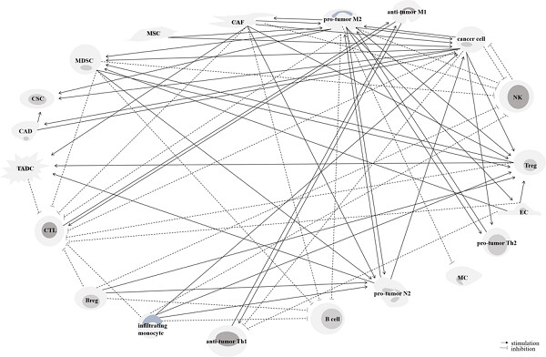 Tumor microenvironment: Interactions and therapy