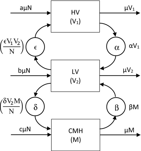 Identification of nonclinical interventions for spontaneous recovery of depression using mathematical modeling