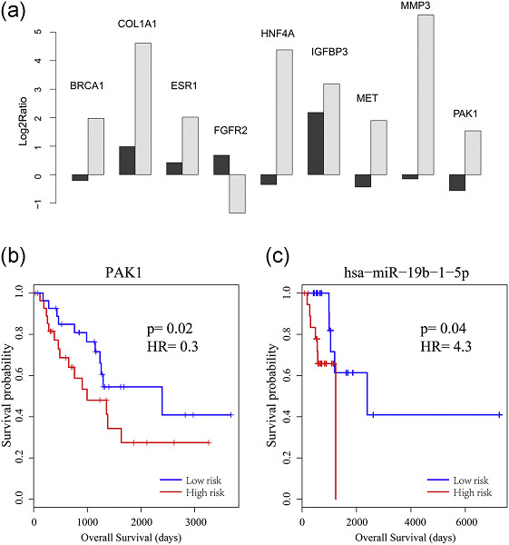 Multiomics analysis on DNA methylation and the expression of both messenger RNA and microRNA in lung adenocarcinoma
