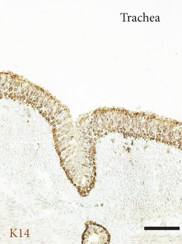 Details are in the caption following the image
