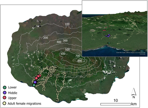 Details are in the caption following the image Details are in the caption following the image