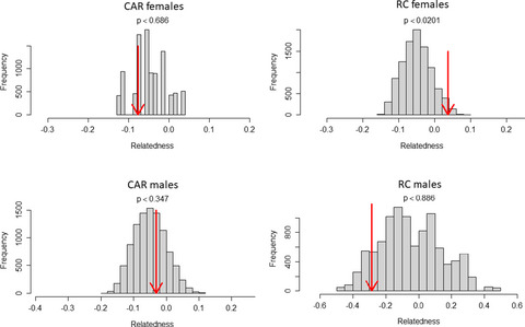 No evidence for female kin association, indications for extragroup paternity, and sex-biased dispersal patterns in wild western gorillas
