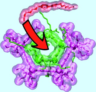 Regulating Molecular Recognition with C-Shaped Strips Attained by Chirality-Assisted Synthesis