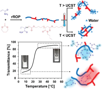 UCST-Type Copolymer through the Combination of Water-Soluble Polyacrylamide and Polycaprolactone-Like Polyester