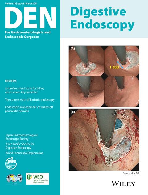 Cover Image Volume 33 Issue 3, 2021