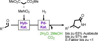 Multisite Organic–Inorganic Hybrid Catalysts for the Direct Sustainable Synthesis of GABAergic Drugs