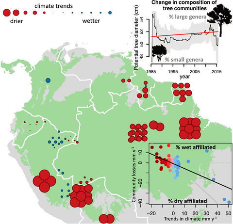 Compositional response of Amazon forests to climate change