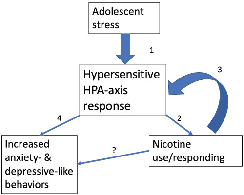 The impact of adolescent stress on nicotine use and affective disorders in rodent models