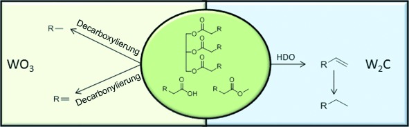 Tungsten-Based Catalysts for Selective Deoxygenation
