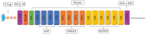 Details are in the caption following the image