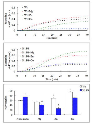 Effects of Divalent Metal Ions on the Chaperone Activity and Structure of Rat Lens H18G Mutant αB-Crystallin