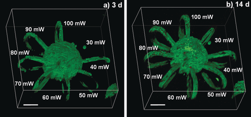 Details are in the caption following the image Details are in the caption following the image