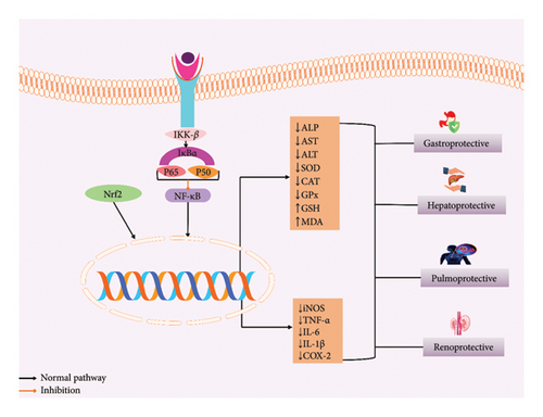 Details are in the caption following the image Details are in the caption following the image