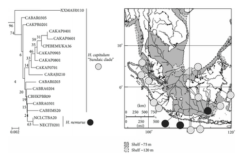 Details are in the caption following the image