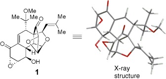 Total Synthesis and Structure Assignment of (+)-Hexacyclinol