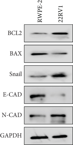 Details are in the caption following the image