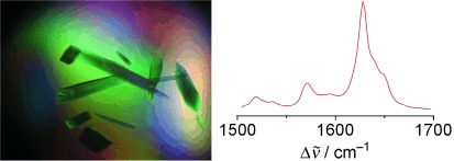 Chromophore Heterogeneity and Photoconversion in Phytochrome Crystals and Solution Studied by Resonance Raman Spectroscopy