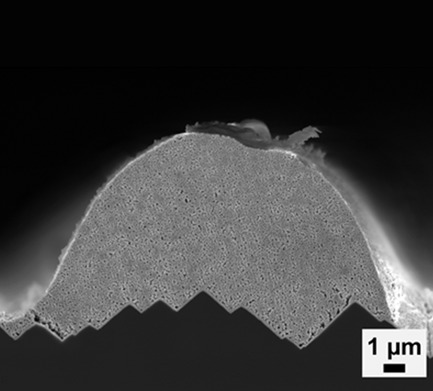 FlexTrail Printing as Direct Metallization with Low Silver Consumption for Silicon Heterojunction Solar Cells: Evaluation of Solar Cell and Module Performance