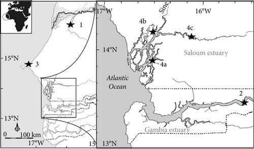 Details are in the caption following the image Details are in the caption following the image