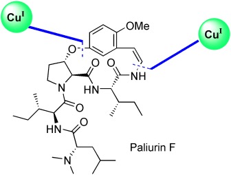 Total Synthesis of Paliurine F