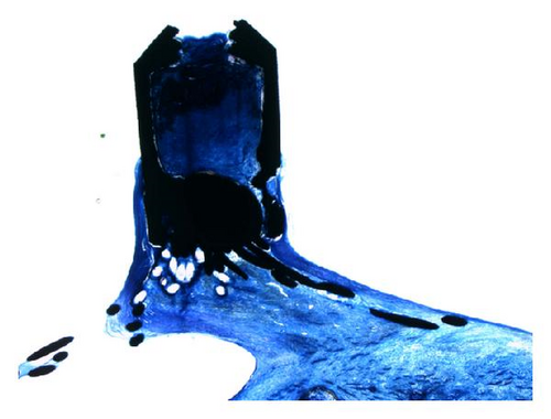 Details are in the caption following the image