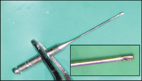 Details are in the caption following the image Details are in the caption following the image