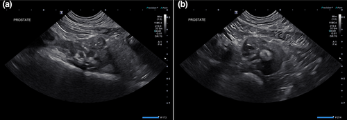 Details are in the caption following the image Details are in the caption following the image