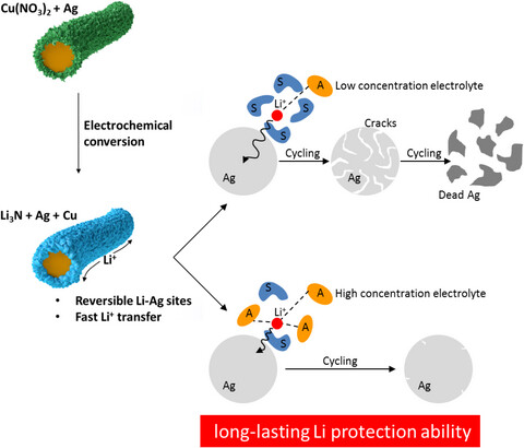 Li+ Solvation Mediated Interfacial Kinetic of Alloying Matrix for Stable Li Anodes